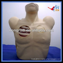Mannequin de drainage pleural ISO, Pneumothorax Décompression, drainage thoracique